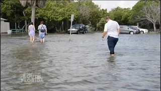 Planning for Rising Seas | Your South Florida