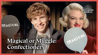 Magical or Muggle: Confectionery | Fantastic Beasts: The Secrets of Dumbledore