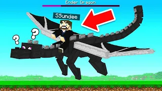 I KILL the ENDER DRAGON!