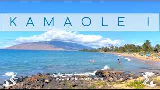 Kamaole Beach Park I - Auntie Snorkel's Maui Beach Guides