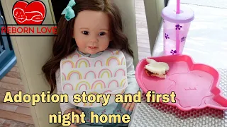 Reborn toddler Adoption day story and first night home Reborn Role Play | Reborn Love