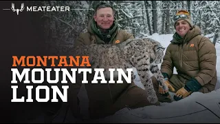 Montana Mountain Lion