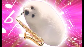 🎷