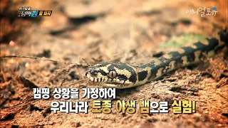 뱀퇴치? 이것만 챙겨가면 됩니다! , KBS 151109 방송