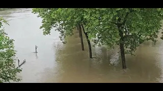 Überflutung Saarbrücken / Daarler Brücke/Saarbrücken