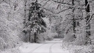 SVETLANA ILCHENKO   SOPRANO RUSA   “Eh, caminos   ”  1945 «ЭХ, ДОРОГИ   » Светлана Ильченко