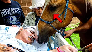 Sterbender Mann verabschiedet sich von seinem Pferd. Was das Pferd dann tat, schockierte alle!