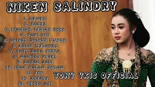 NIKEN SALINDRY FULL ALBUM TERBARU #dangdutkoplo #dangdut #dangdutterbaru #campursari