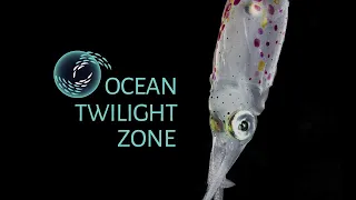 Creatures of the Ocean Twilight Zone
