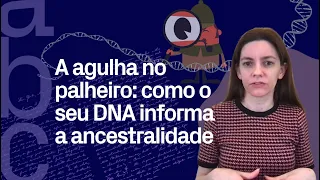 Qual é a verdadeira lógica dos testes de ancestralidade?