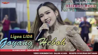 RAJAWALI MUSIC | GOYANG HEBOH | LIVE DESA ULAK BANDING _Khitanan"Abbymanyu&Pandu | SHAPA WG CHANNEL