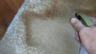 Removing water stains in 5th wheel - Carpet cleaning tips