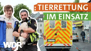 Wer hilft, wenn Tiere in Not geraten? | neuneinhalb - Deine Reporter | WDR