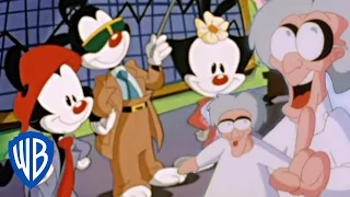 Animaniacs | The Warners' First Session with Dr. Otto | WB Kids