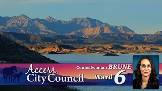 Access City Council: Ward 6 Councilwoman Nancy Brune