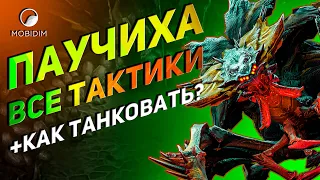 Как пройти паучиху в Raid? | Гайд новичку Raid shadow legends.