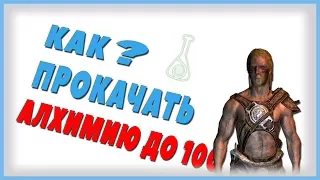 Как прокачать Алхимию в Skyrim за 10 минут!