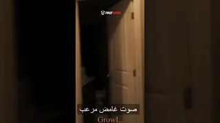 لقطات مخيفه صورتها عدسات الكاميرا 😱💔!! فريتونز