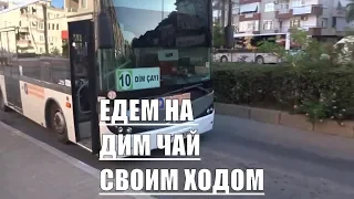 Аланья Как доехать на Дим Чай самостоятельно