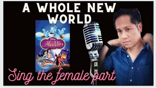 A Whole New World - Karaoke - Male Part Only