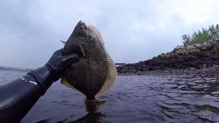 ДОБЫВАЕМ СЕВЕРНУЮ КАМБАЛУ / часть 1 / PRODUCED NORTHERN FLOUNDER / part 1