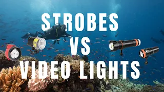 Strobes VS Video Lights for UW Photography | OrcaTorch