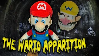 The Wario Apparition. - Super Mario Richie