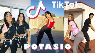 El Aguacate Es Potasio TikTok Dance Compilation