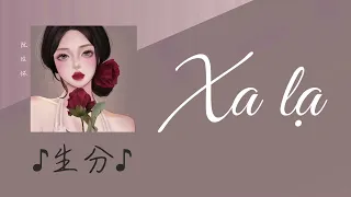 [1 Hour] Xa lạ ♬ Xuyên Thanh || 生分 ♪ 川青