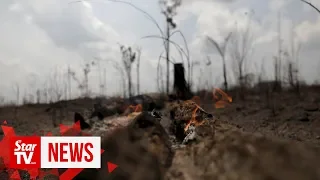 "Ashes to ashes:" Brazil troops begin tackling fires in devastated Amazon