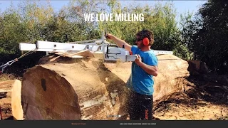 Milling a Massive Oak Tree with 60" Chainsaw and Alaskan Mill