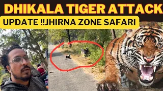 Dhikala Tiger Attack Update ‼️ Jhirna Zone Safari | Jim Corbett National Park