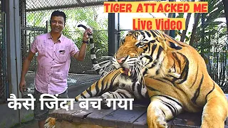 Tiger Park in Pattaya | Tiger Attack in Tiger Park Thailand