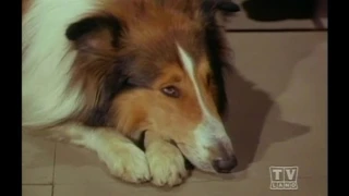 2 Rangers Lassie (Season 15 Eps 8 Glacier Canyon)