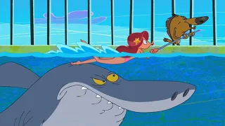 ZIG e SHARKO 🌊 A aula de natação 🌊 Português Brasil | Cartoon for Kids