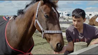 Young Riders S03 E15 Hold your horses