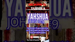 LEVITICUS 23 YOU CAN READ THE TRUE FEAST OF YAHWEH