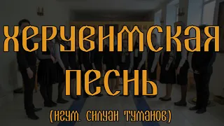 Херувимская песнь игум. Силуан (Туманов) // Иже Херувимы // детский хор // спевка