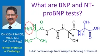 What are BNP and NT proBNP tests?