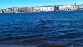 Заплыв у Петропавловской крепости