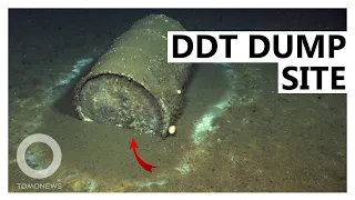 DDT Dumpsite Suspected off California Coast