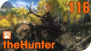 THE HUNTER #116 - Der nächste ANSITZ auf TIMBERGOLD TRAILS! 🐗 || Let's Play The Hunter || German