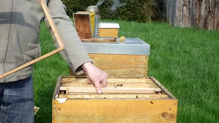 Zander 1,5 erweitern und Honigraum aufsetzen