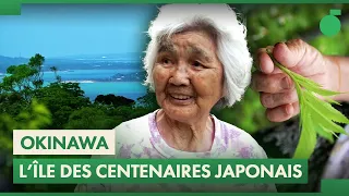 Okinawa : Les SECRETS de l'île de la longévité