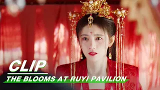 Clip: Duke Su Is Injured When He Saves Ju Jingyi | The Blooms At RUYI Pavilion EP39 | 如意芳霏 | iQIYI