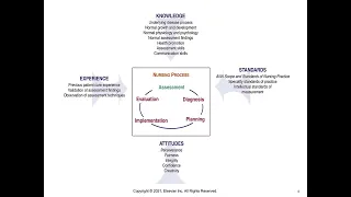 NUR100 Chapter 16 Nursing Assessment