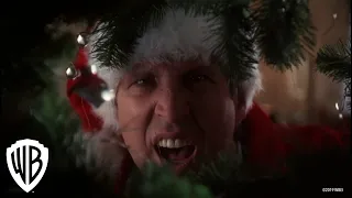 National Lampoon's Christmas Vacation | Squirrel Scene | Warner Bros. Entertainment