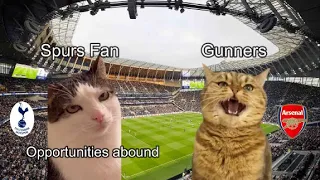 CAT MEMES  Tottenham Hotspur vs Arsenal