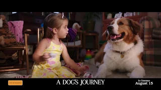 A DOG'S JOURNEY - In Cinemas August 15