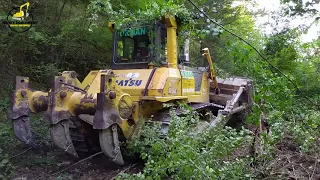 Construction of a Forest Road with Komatsu 85EX